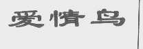 爱情鸟