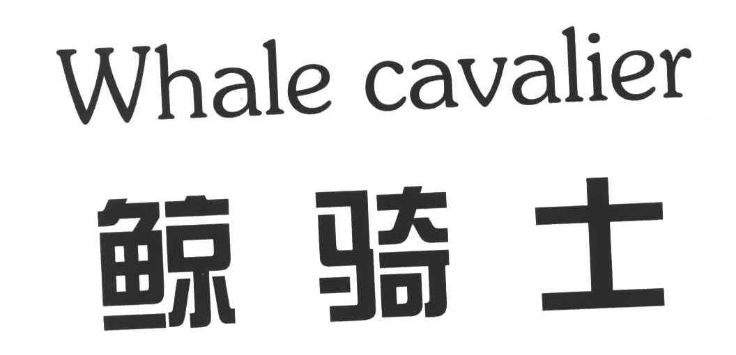 WHALE CAVALIER;鲸骑士