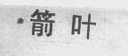 箭叶
