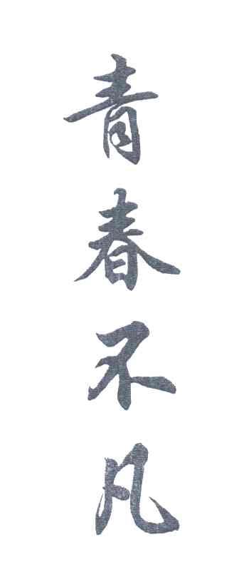 青春不凡