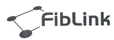 FIBLINK