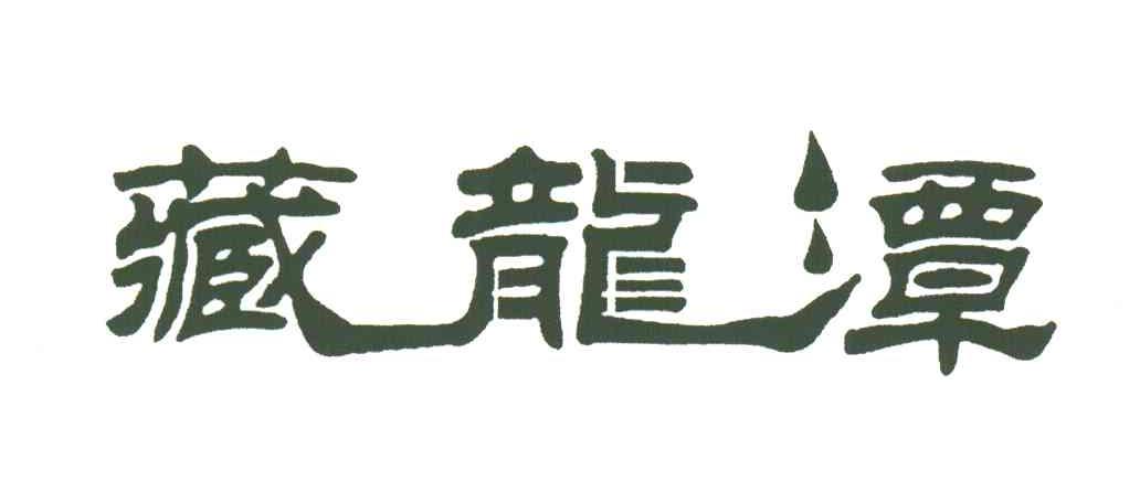藏龙潭