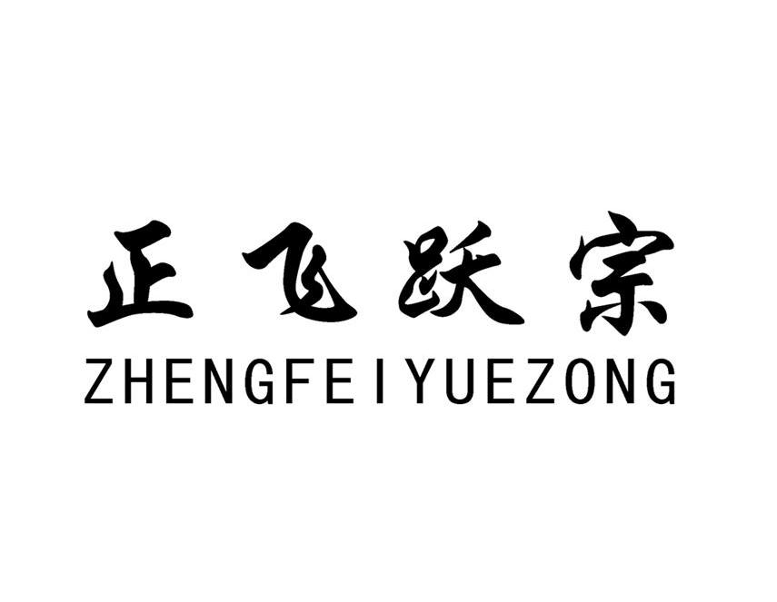 正飞跃宗