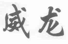 威龙