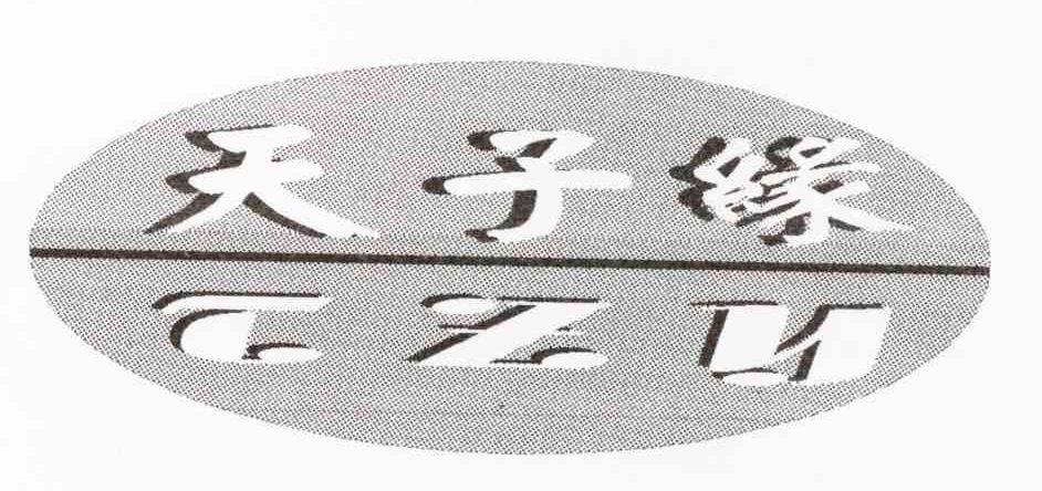 天子缘 TZY