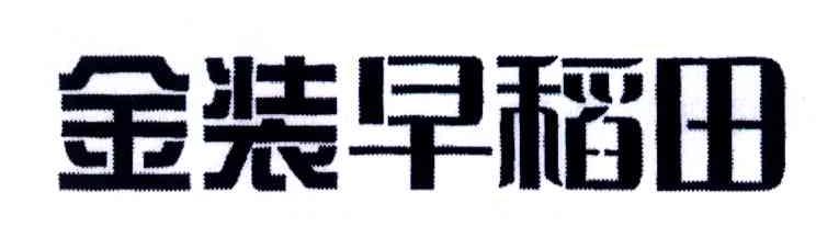 金装早稻田