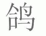 鸽