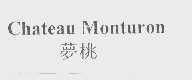 梦桃   CHATEAU MONTURON
