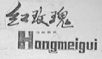 红玫瑰