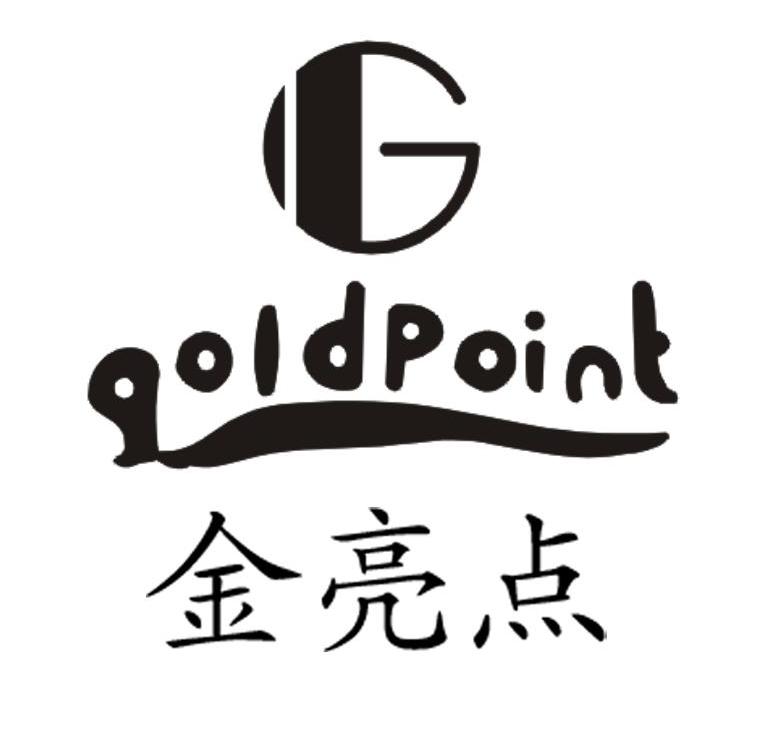 金亮点 QOIDPOINT G