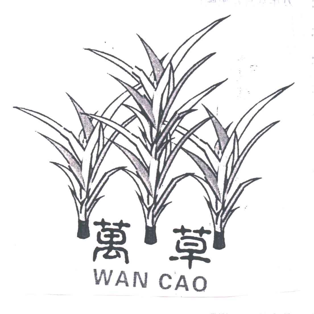 万草