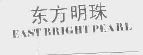 东方明珠   EAST BRIGHT PEARL