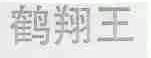 鹤翔王