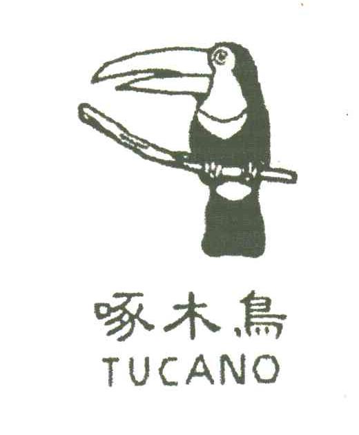啄木鸟;TUCANO