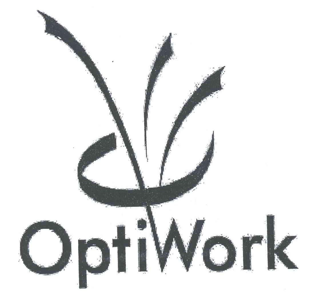 OPTIWORK