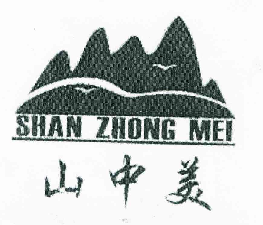 山中美