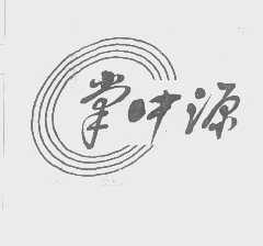 掌中源