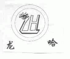 龙哈