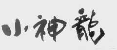 小神龙