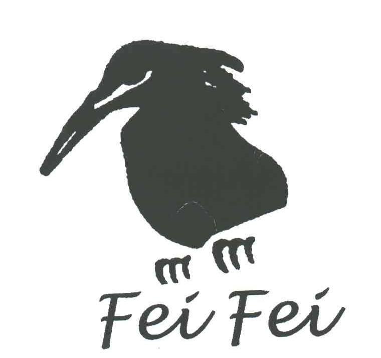 FEI FEI及图