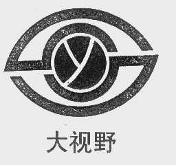 大视野