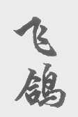 飞鸽