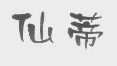 仙蒂