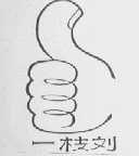 一枝刘