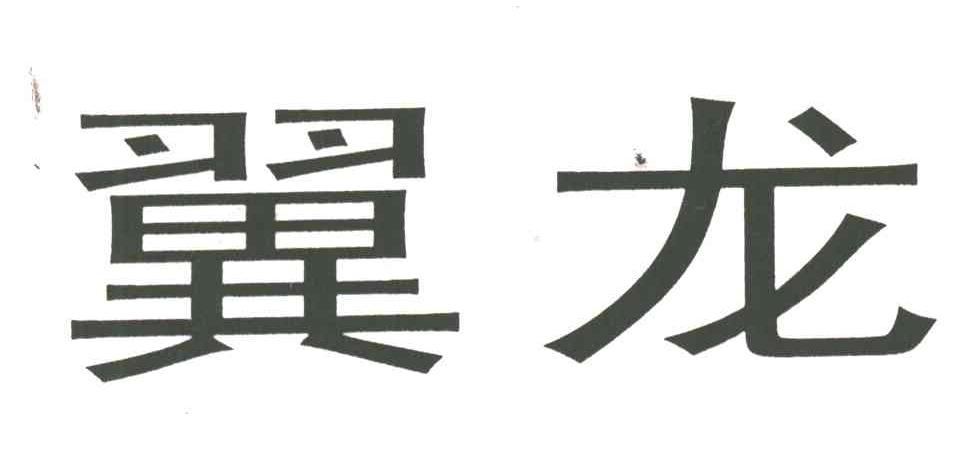 翼龙