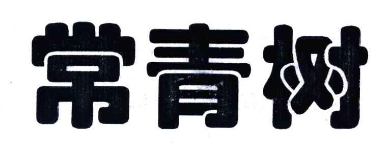 常青树