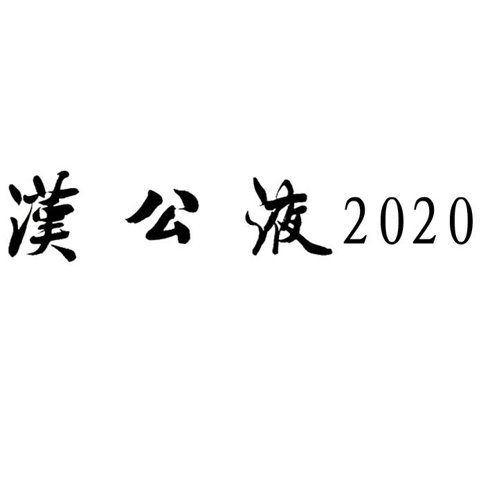 汉公液 2020