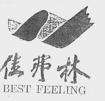 佳弗林  BEST FEELING