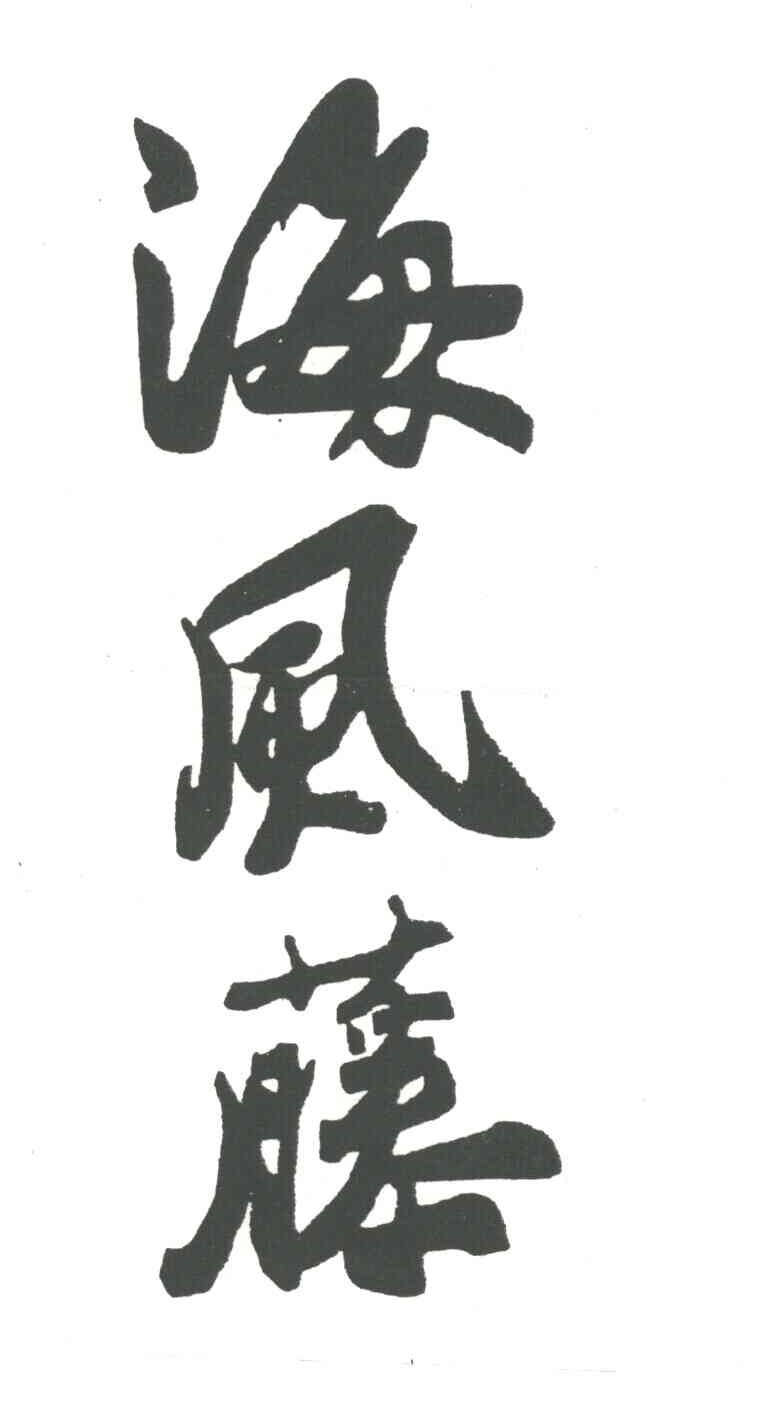 海风藤