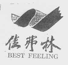 佳弗林   BEST FEELING
