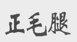 正毛腿