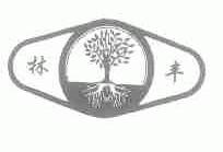 林丰