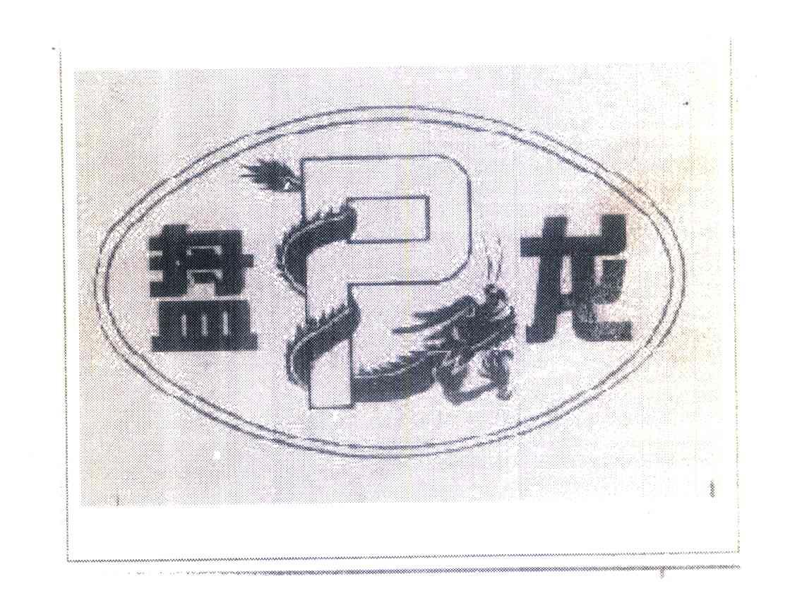 盘龙 P