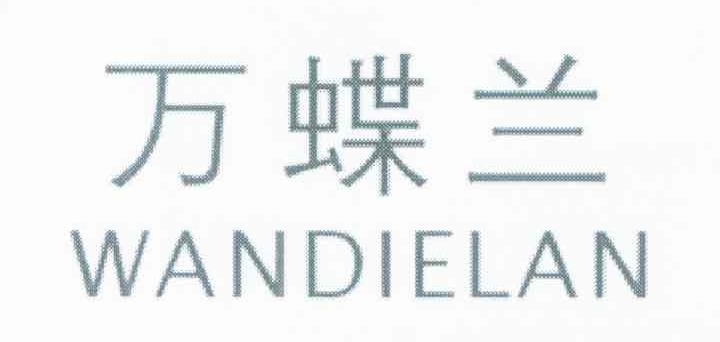 万蝶兰