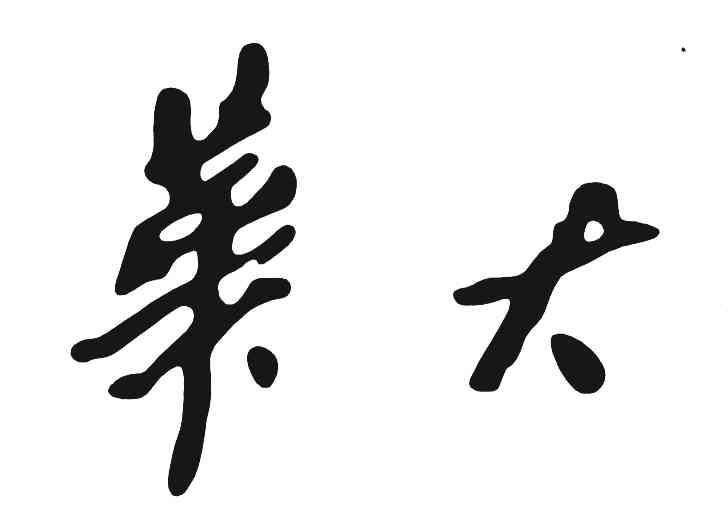 华大