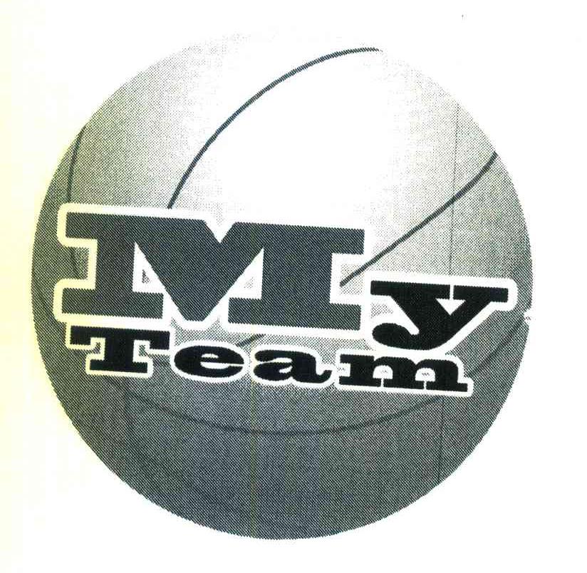 MY TEAM