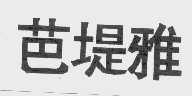 芭堤雅