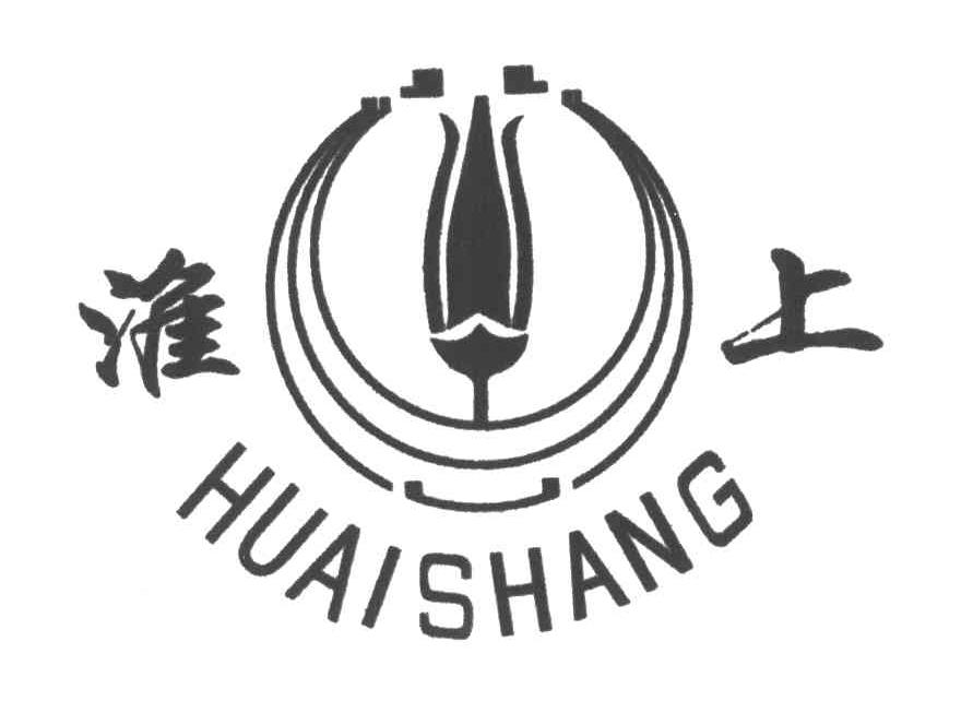 淮上