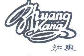 壮康;ZHUANG KANG