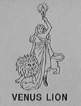 VENUS LION