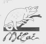 MICAI