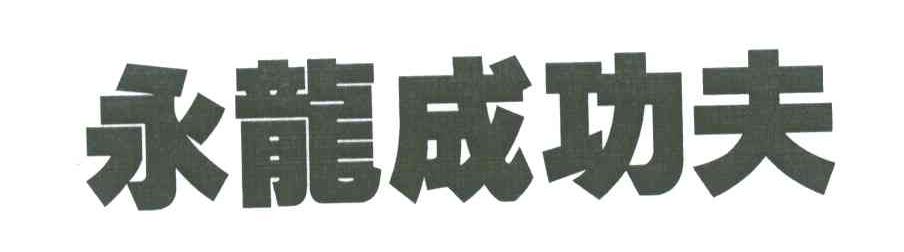 永龙成功夫