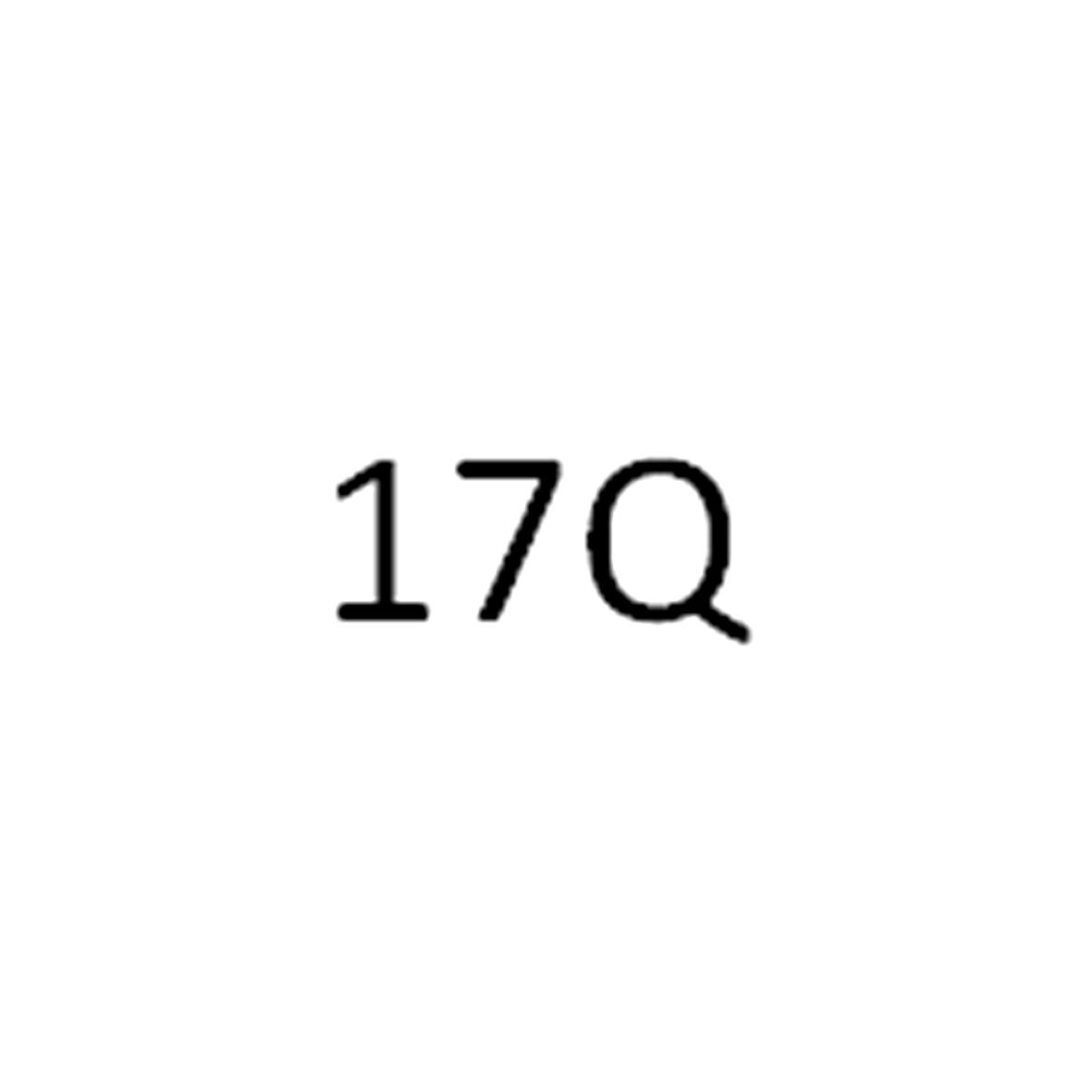 17 Q