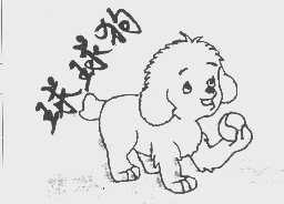 球球狗
