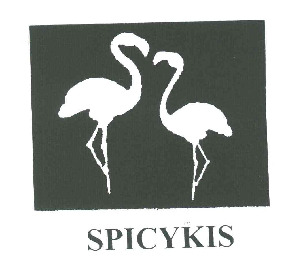 SPICYKIS