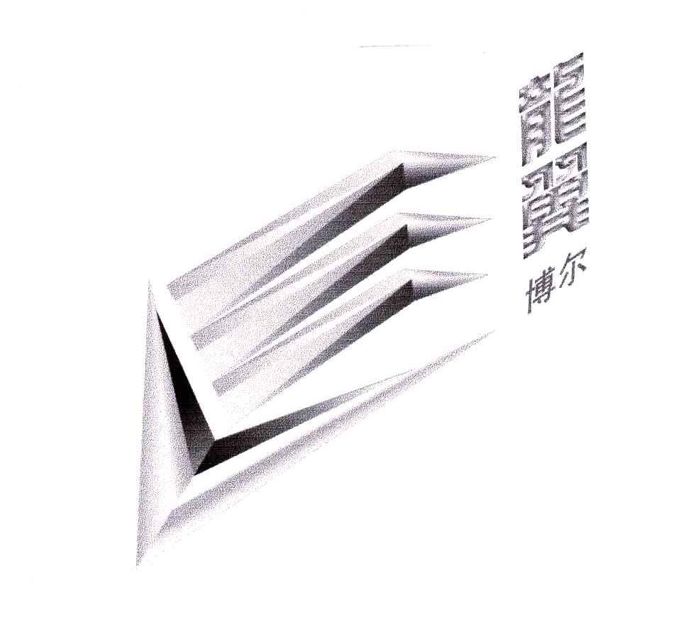 龙翼博尔